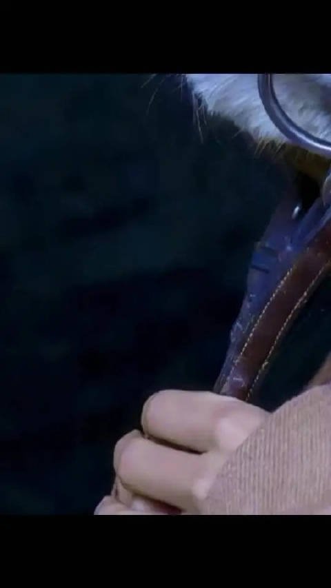 春春掌门，你的少年长大了