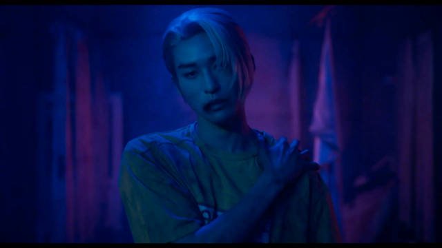 目黑莲主演《坂本日常》真人电影2026年黄金周上映，福田雄一执导